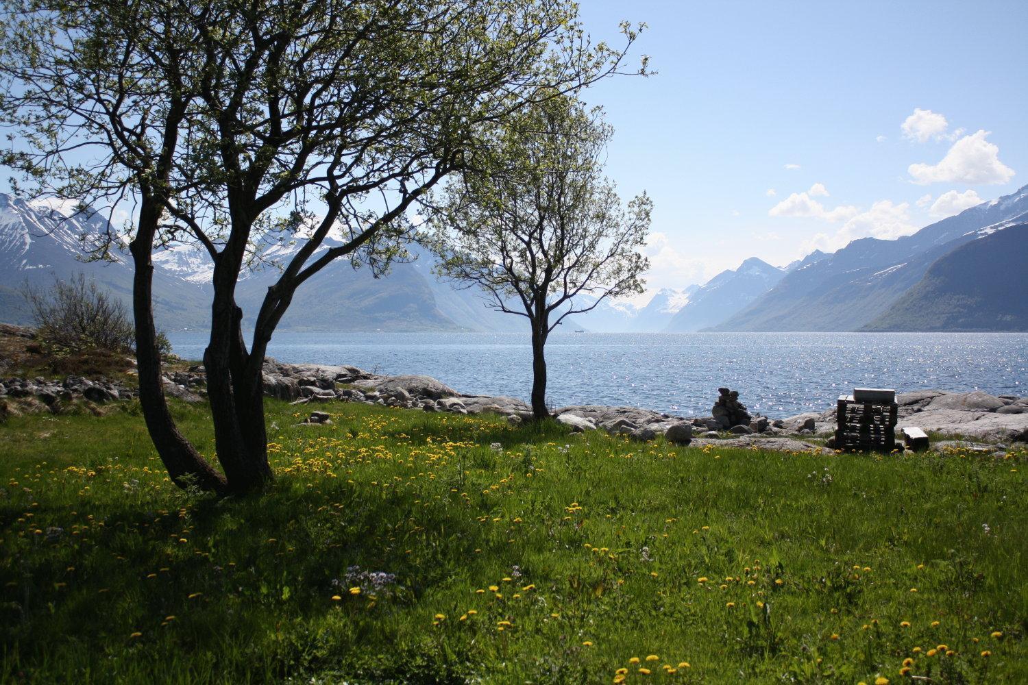Sunde Fjord Hotel, Free And Easy Parking Solavagen Εξωτερικό φωτογραφία